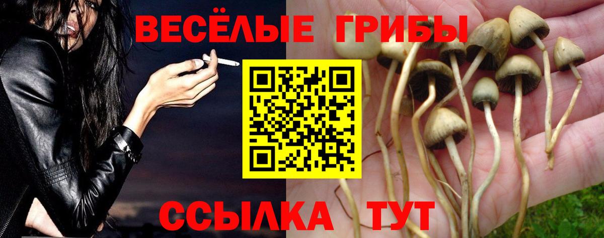 Галлюциногенные грибы GOLDEN TEACHER  Вход с VPN  Галлюциногенные грибы Psilocybine cubensis  купить  цена  Надым 