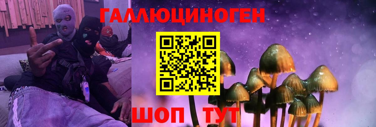 Псилоцибиновые грибы Cubensis Надым