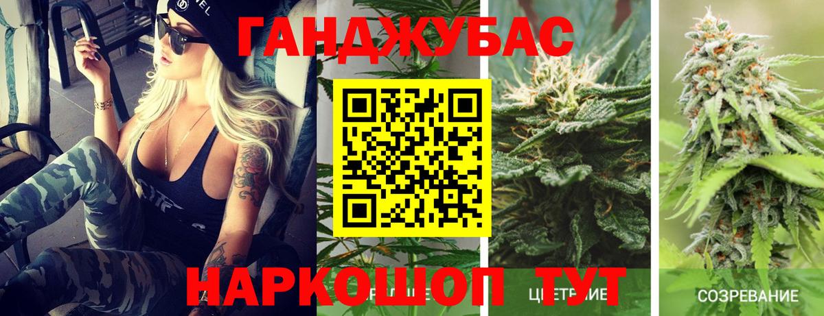 Бошки Шишки Надым